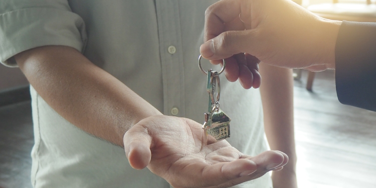 Landlord licence